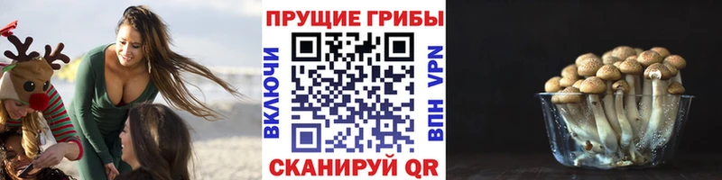 Галлюциногенные грибы ЛСД  где купить наркоту  Кизилюрт 